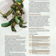 Volo’s Guide to Monsters